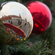 Image for article titled This Engineer Wants to Turn Your Abandoned Christmas Tree Into Sustainable Household Products
